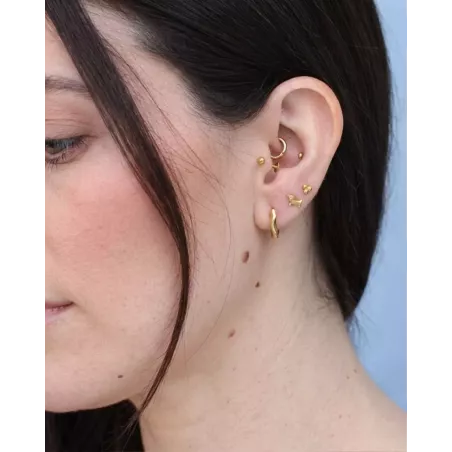 Piercing MORLEN oro | Piercing Perro Salchicha Oro Plata 925 - moon