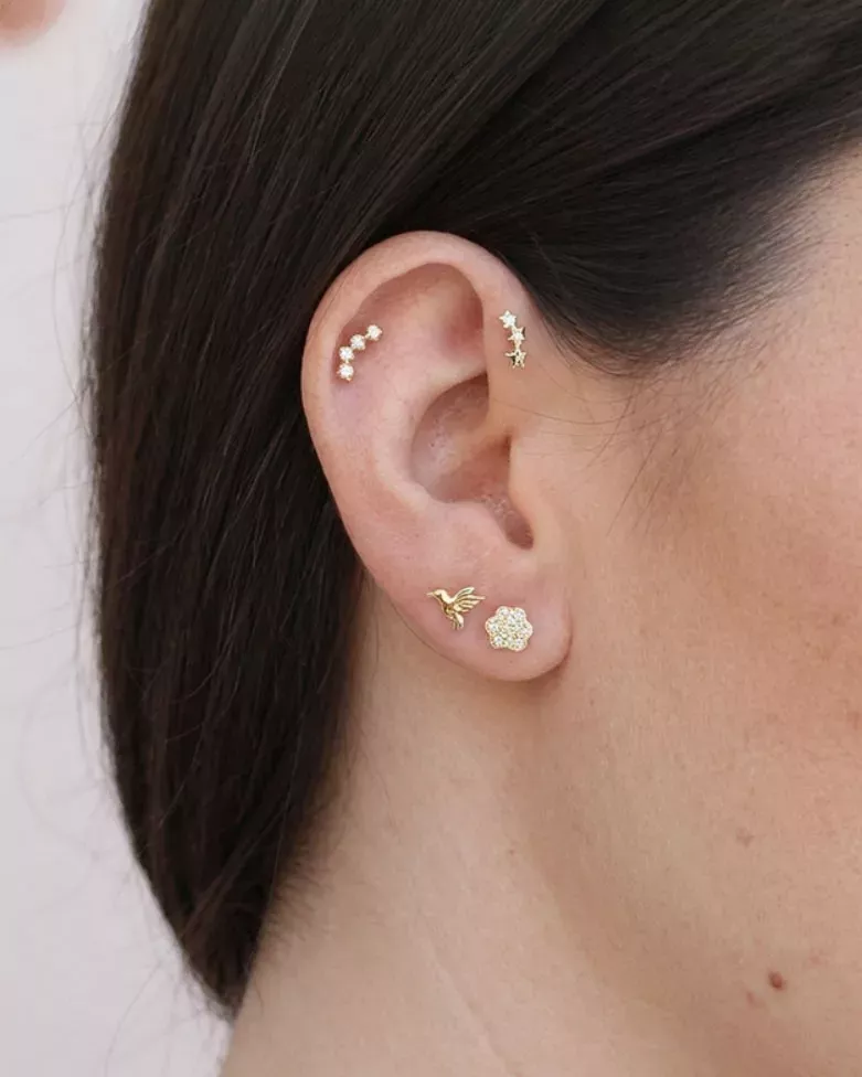 DRAVEN Gold Piercing | Pet Paw Print Gold with Cubic Zirconia - moon
