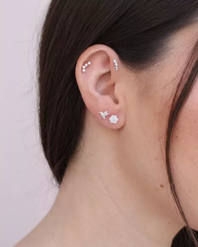 Silver Corvix Piercing | Silver Hummingbird Piercing - moon