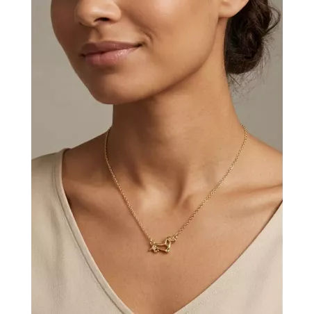 Collar PULSE Oro | Collar Perrito Salchicha Dorado Plata 925 - moon