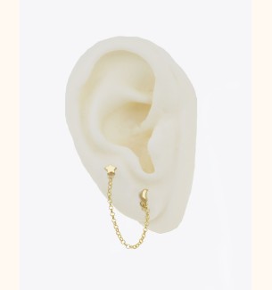 Hari Gold Earring
