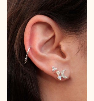 Colmar earrings